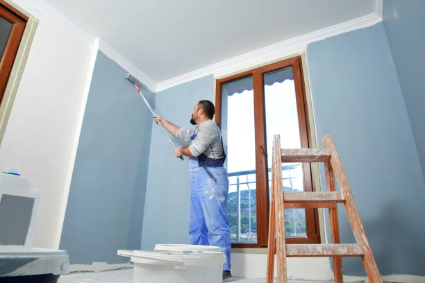 Best Real Estate Mold Inspection  in Marshall, MN