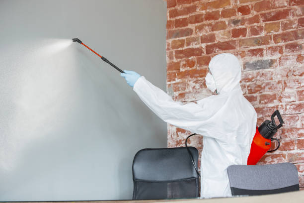 Best Environmental Consulting for Mold Prevention  in Marshall, MN