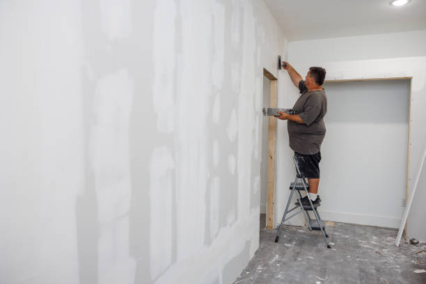 Best Mold Removal for HVAC Installations  in Marshall, MN