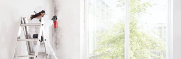 Mold Remediation for Rental Properties in Marshall, MN