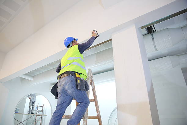 Best Mold Remediation for Rental Properties  in Marshall, MN