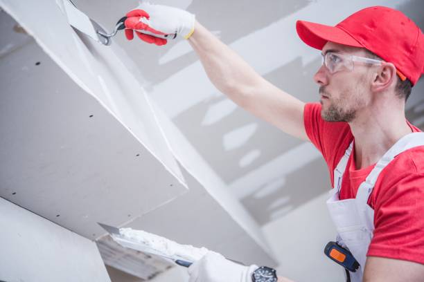 Best Commercial Mold Inspection  in Marshall, MN